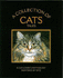 A Collection of Cats Tales: a Cat-Lover's Anthology