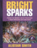 Bright Sparks: Posters for Students and for Classrooms to Raise Motivation and Achievement, Revised Edition