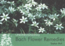 Understanding Bach Flower Remedies