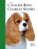 Cavalier King Charles Spaniel (Best of Breed)