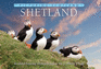 Picturing Scotland: Shetland: Volume 29: an Island-Hopping Odyssey From Fair Isle to Muckle Flugga