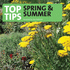 Top Tips for Spring and Summer
