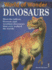 Dinosaurs (World of Wonder)