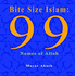 Bite Size Islam: 99 Names of Allah