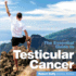 Testicular Cancer: the Essential Guide