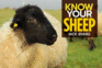 Know Your Sheep (Old Pond Books) 44 Sheep Breeds From Beulah Speckled Face to Wensleydale, With Full-Page Photos and Comprehensive Descriptions of the Appearance, History, Wool Quality, and More