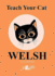 Teach Your Cat Welsh Format: Paperback