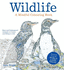 Wildlife: a Mindful Colouring Book: Rare and Endangered Animals to Colour and Create