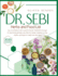 Dr. Sebi Herbs and Food List: How to Naturally Heal and Revitalize Your Body Through Dr. Sebi Nutritional Guide With Effective Herbal Antibiotics to...Recipes to Prevent and Reverse Disease)