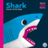 Shark-Hunter of the Deep (Awesome 3d Wall Art)