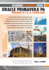 Planning and Control Using Oracle Primavera P6 Versions 8.2 & 8.3 Eppm Web