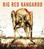Big Red Kangaroo (Nature Storybooks)