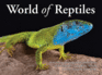 World of Reptiles: a Stunning Photographic Celebration of the Planet's Crocodiles, Lizards, Snakes, Tuataras and Turtles