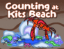 Counting at Kits Beach