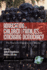 Advocating for Children and Families in an Emerging Democracy: the Post-Soviet Experience in Lithuania (Hc) (Research in Global Child Advocacy)