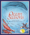 Ocean Seasons