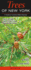Trees of New York: a Guide to Common Native Species