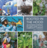 Rooted in the Hood: an Intimate Portrait of New York City's Community Garden