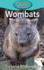 Wombats (Elementary Explorers)