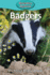 Badgers (Elementary Explorers)