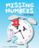 Missing Numbers