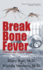 Break Bone Fever (a Finnerty and Liccione Mystery)