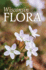 Wisconsin Flora: an Illustrated Guide to the Vascular Plants of Wisconsin