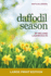 Daffodil Season Book 9 Large Print a Novel
