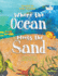Where the Ocean Meets the Sand-Children's Book of the Ocean for Ages 3-8, Discover All the Exciting Things You Can See & Do on a Beach-Beautifully Illustrated Ocean Book for Toddlers
