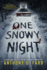 One Snowy Night