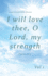 Inspirational Bible Quotes: I Will Love Thee, O Lord, My Strength: a Discreet Internet Password Organizer (Password Book) (Disguised Password Books)