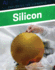 Silicon (Exploring the Elements)