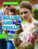 Bullies and Trolls: Protecting Yourself on Social Media (Social Media Smarts)