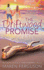 The Driftwood Promise