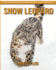 Snow Leopard: A Fun and Educational Book for Kids with Amazing Facts and Pictures
