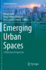 Emerging Urban Spaces: A Planetary Perspective