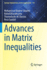 Advances in Matrix Inequalities (Pb 2021)