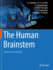 The Human Brainstem: Anatomy and Pathology