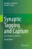 Synaptic Tagging and Capture