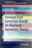 Forward Error Correction Based on Algebraic-Geometric Theory (Springerbriefs in Electrical and Computer Engineering)