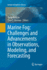 Marine Fog: Challenges and Advancements in Observations, Modeling, and Forecasting