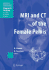 Mri and Ct of the Female Pelvis (Medical Radiology)