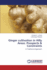 Ginger cultivation in Hilly Areas: Prospects & Constraints