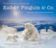 Eisbr, Pinguin & Co. : Polartiere Filzen Und Kennenlernen