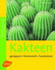 Kakteen