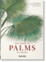 Von Martius. the Book of Palms