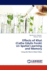 Effects of Khat (Catha Edulis Forsk) on Spatial Learning and Memory: Using the Morris Water Maze