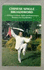 Chinese Single Broadsword: a Primer of Basic Skills and Performance Routines for Pratitioners