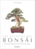 Los Secretos Del Bonsai