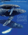 Gentle Giants: an Emotional Face to Face With Dolphins and Whales